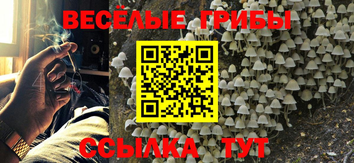 Мелеуз  Галлюциногенные грибы Cubensis  Галлюциногенные грибы ЛСД  Вход с VPN 